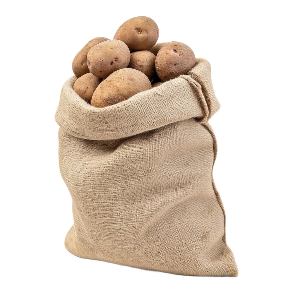 2 Piece Burlap Sack Set 60 x 1 - Plants X 评论和价格