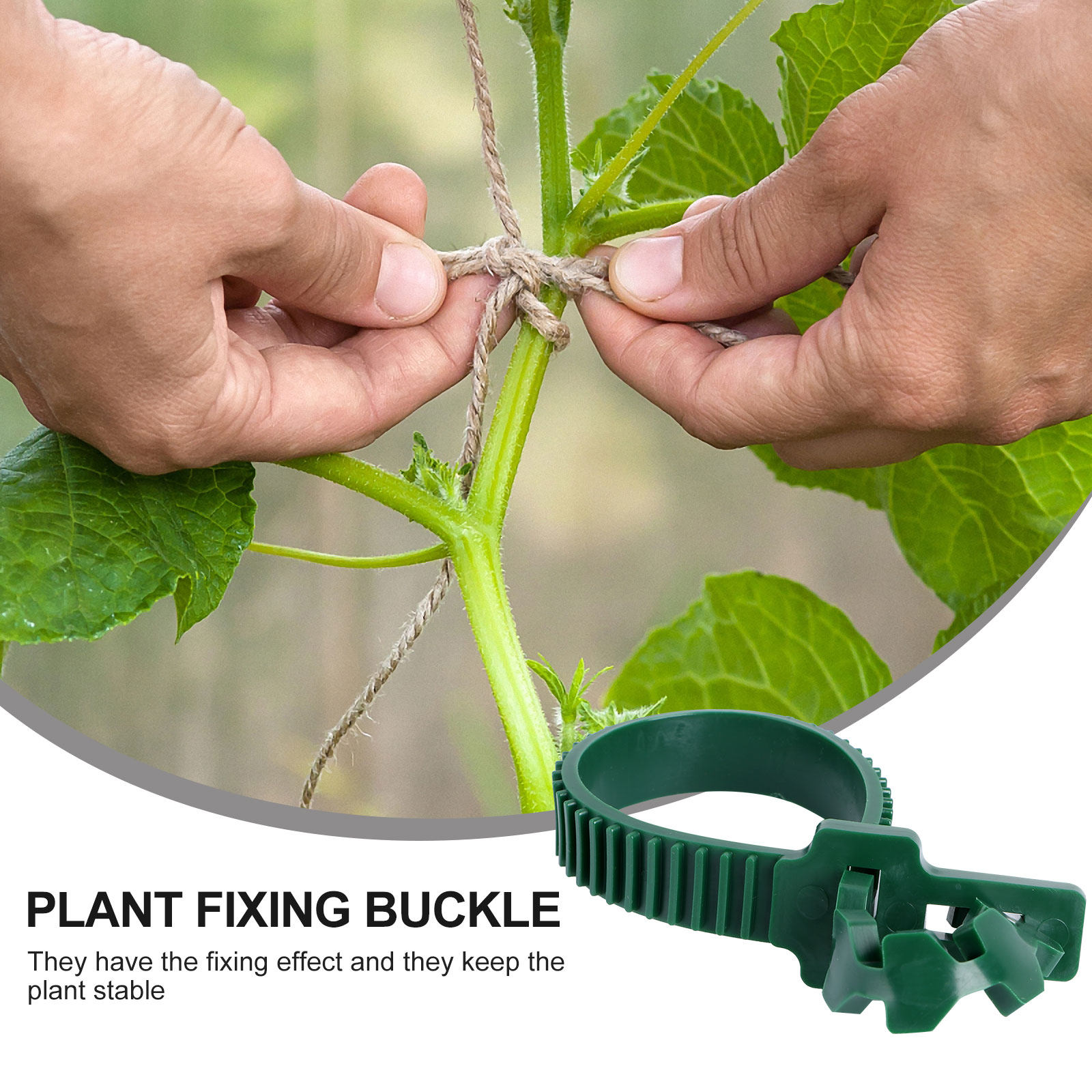 20Pcs Vine Fixing Buckle Garde - Plants X 评论和价格